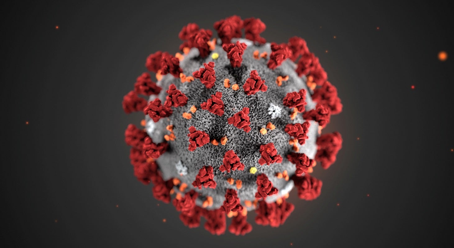 Борьба с коронавирусом в разных странах мира